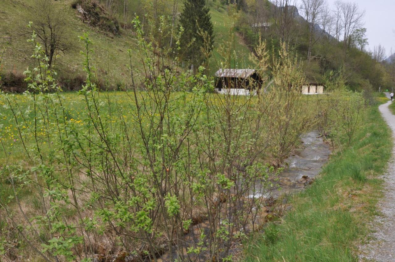 Ferienwohnungen Alter Raaben Rüti Exteriér fotografie